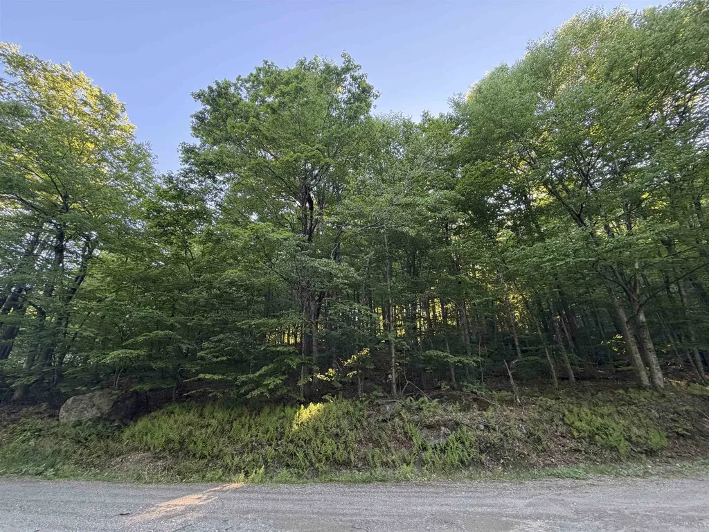 Scattered Timber Road Wilmington VT 05363