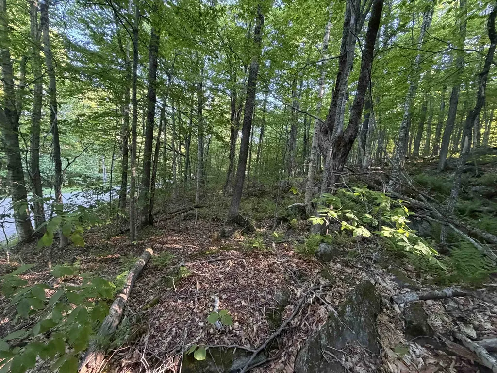 Scattered Timber Road Wilmington VT 05363