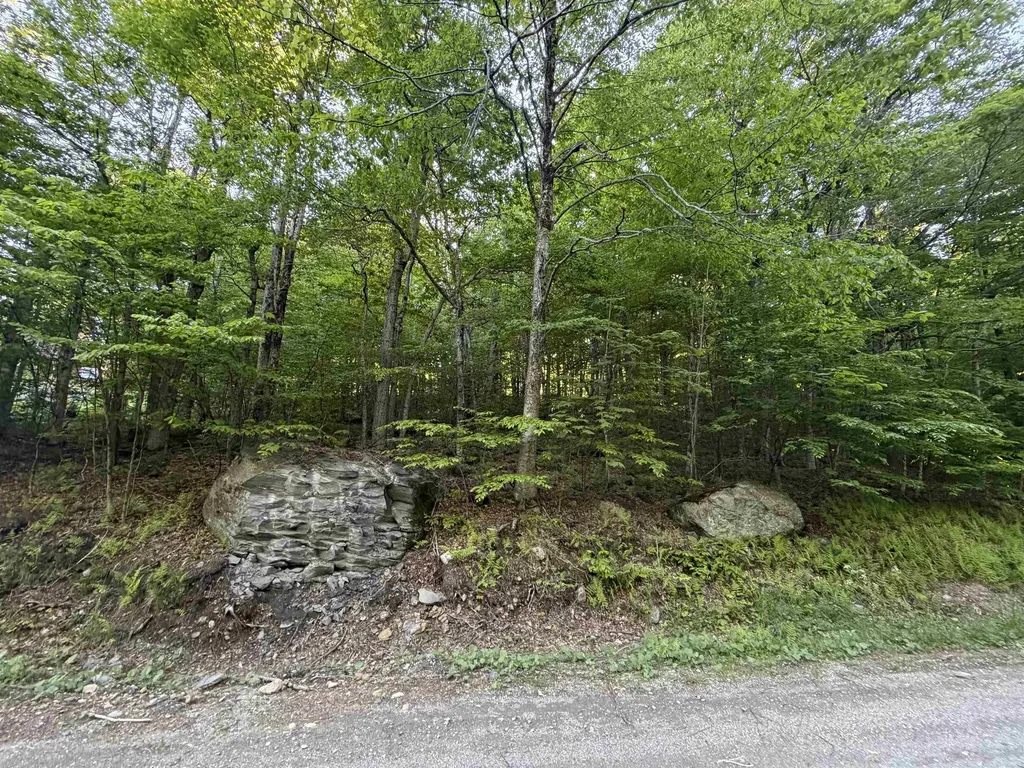 Scattered Timber Road Wilmington VT 05363