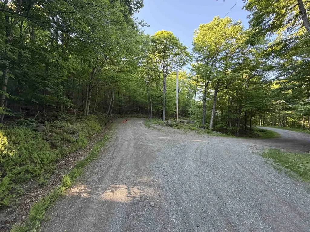 Scattered Timber Road Wilmington VT 05363