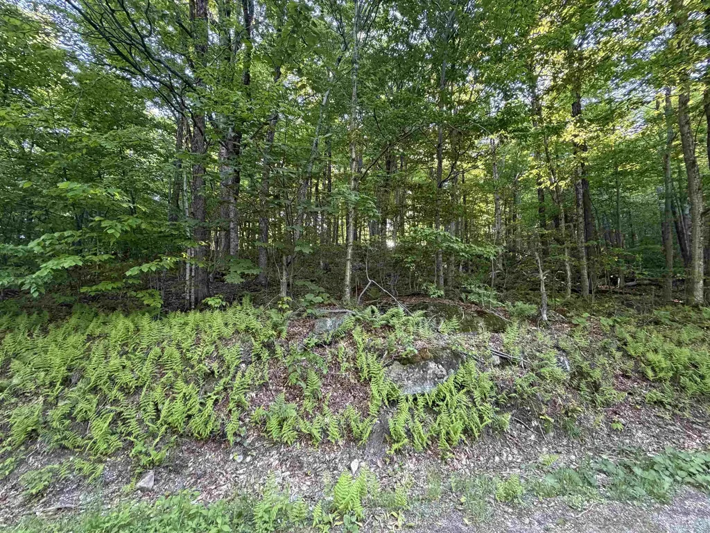 Scattered Timber Road Wilmington VT 05363