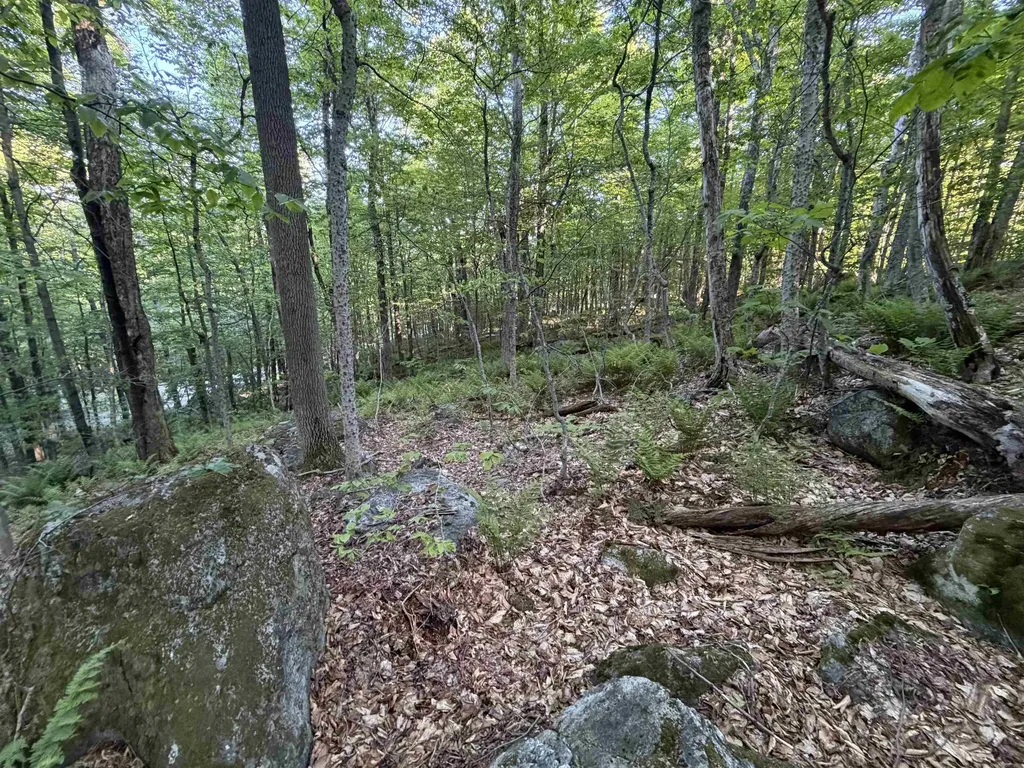 Scattered Timber Road Wilmington VT 05363