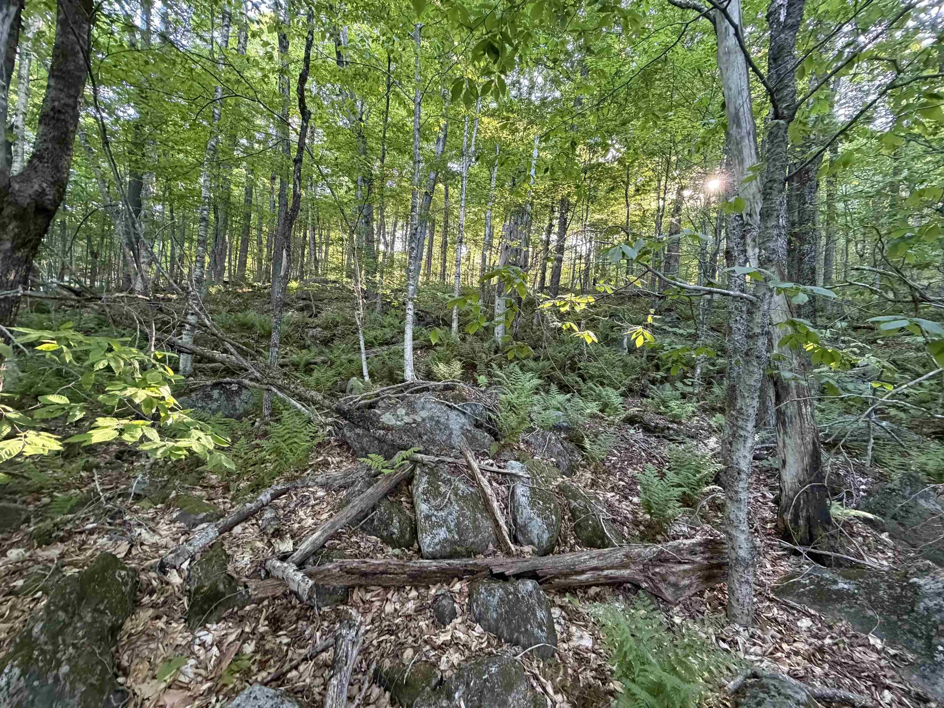 Scattered Timber Road Wilmington VT 05363