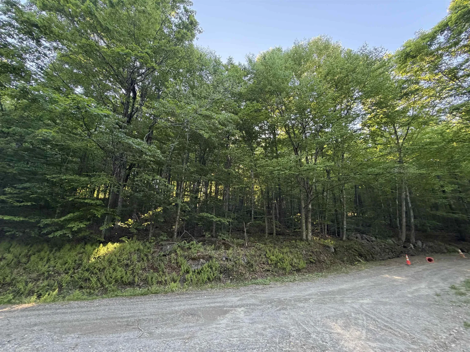 Scattered Timber Road Wilmington VT 05363