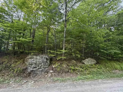 Scattered Timber Road Wilmington VT 05363