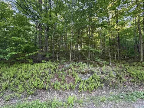 Scattered Timber Road Wilmington VT 05363