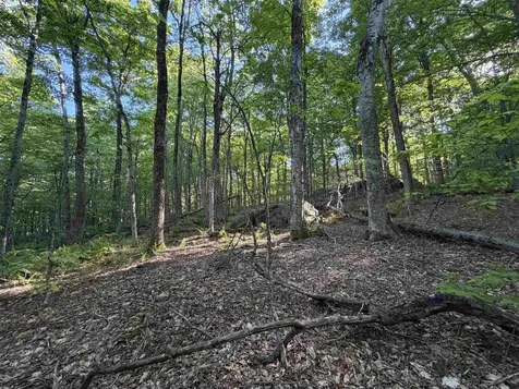 Scattered Timber Road Wilmington VT 05363