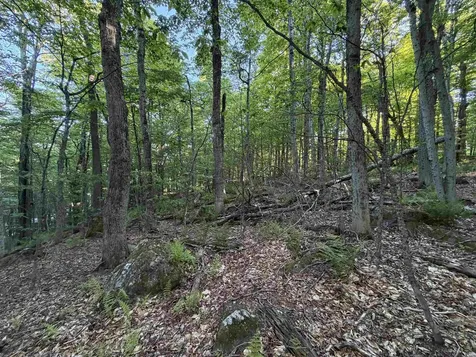 Scattered Timber Road Wilmington VT 05363