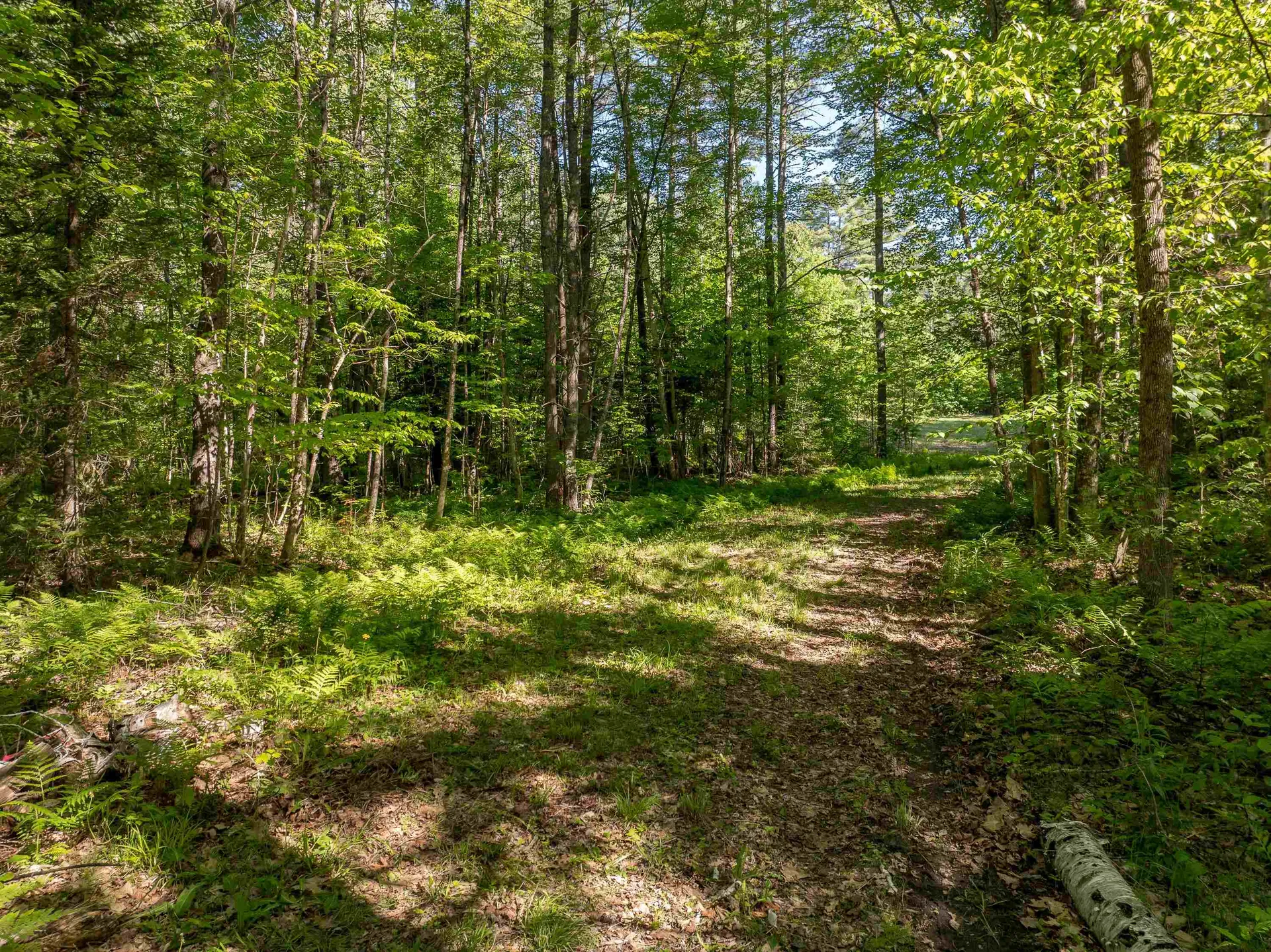 Lot 22 Rabbit Path Road Landaff NH 03585