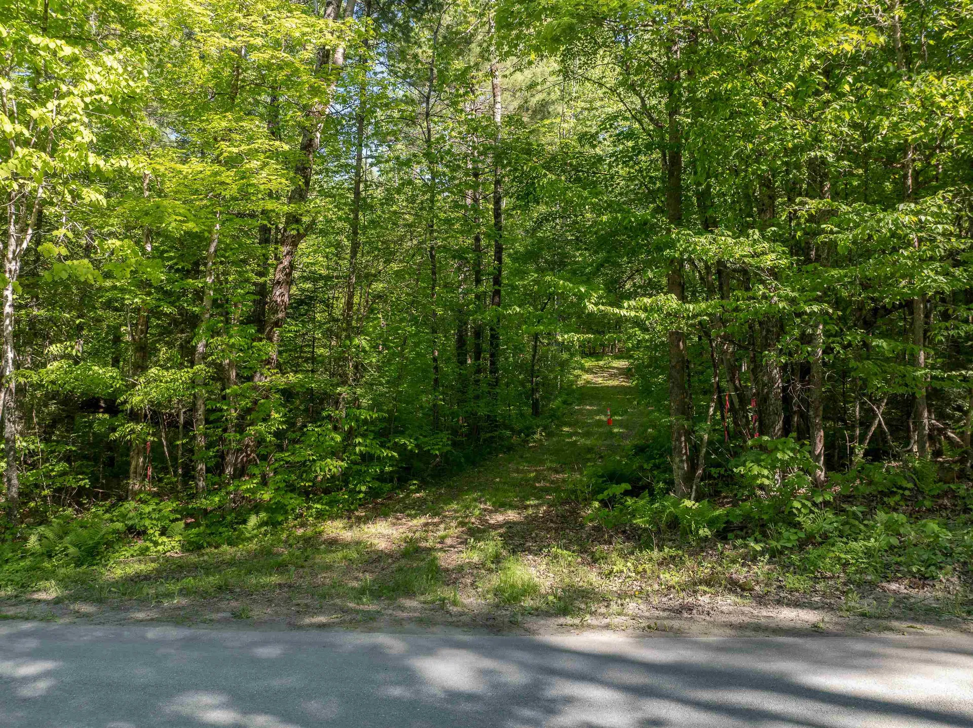 Lot 22 Rabbit Path Road Landaff NH 03585