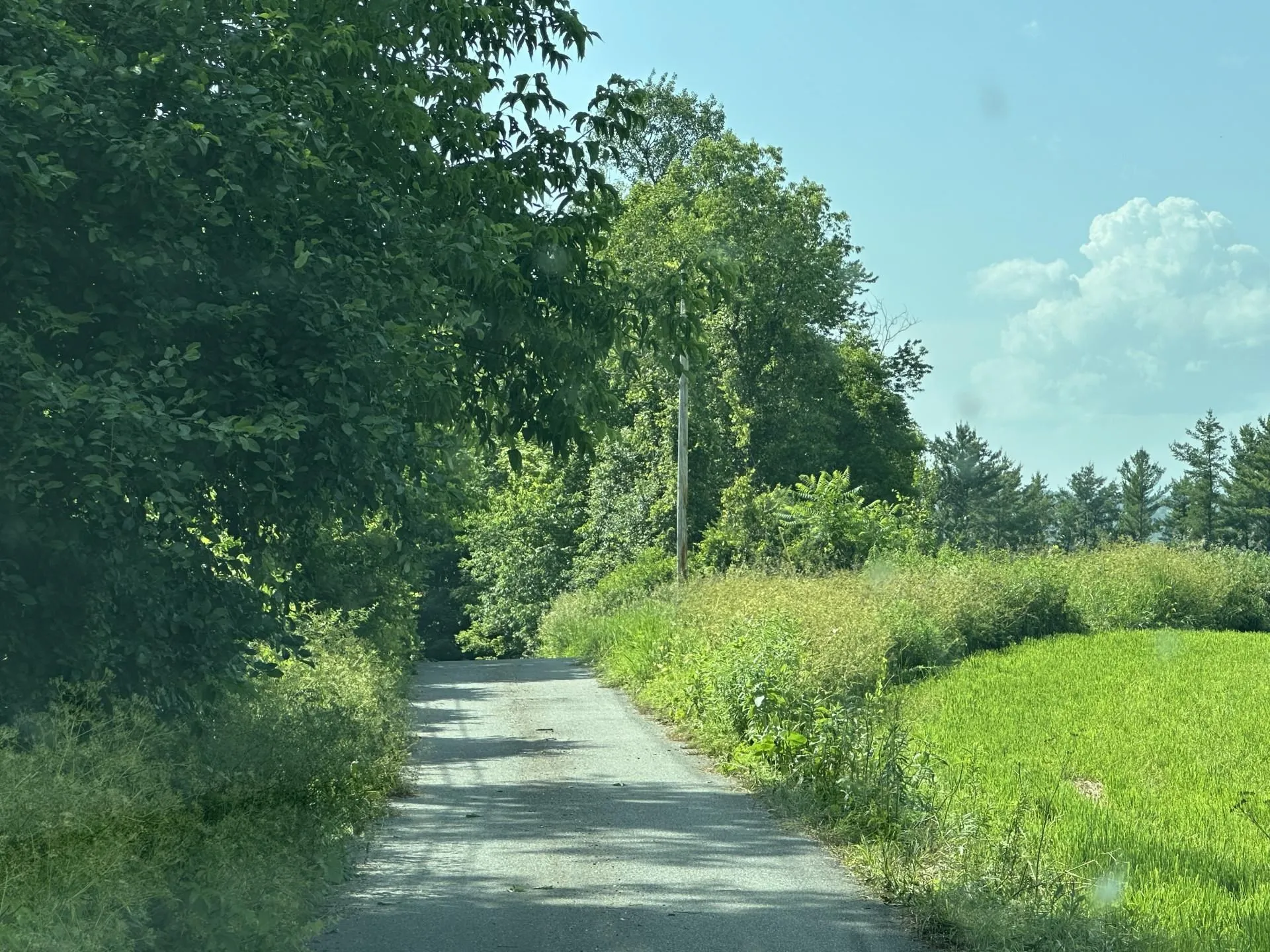 Banfield Road East Montpelier VT 05651