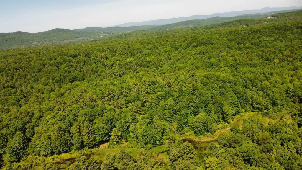 00 Bull Frog Hollow Road Wells VT 05774