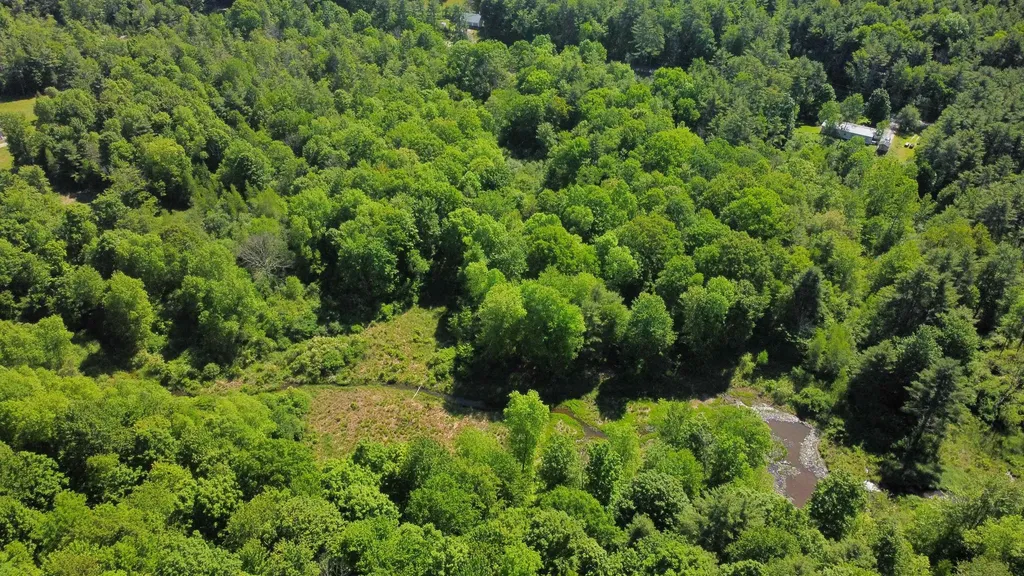 00 Bull Frog Hollow Road Wells VT 05774