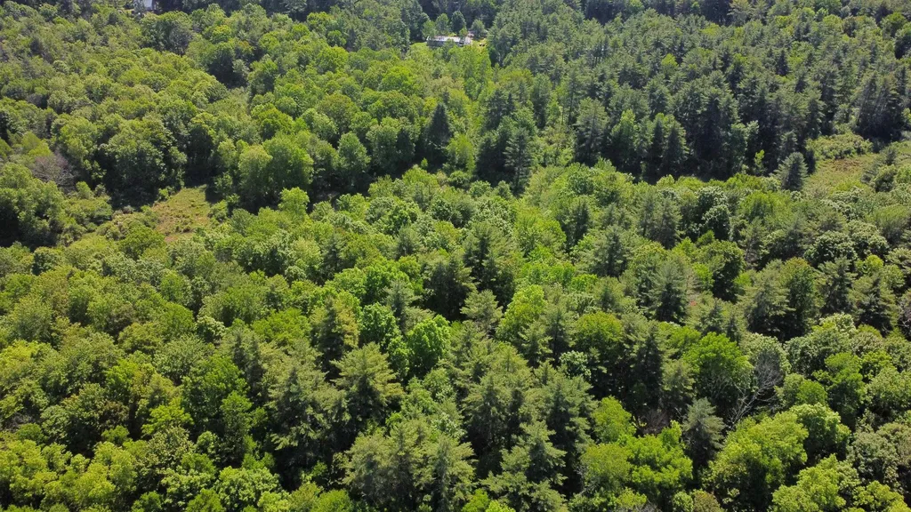 00 Bull Frog Hollow Road Wells VT 05774