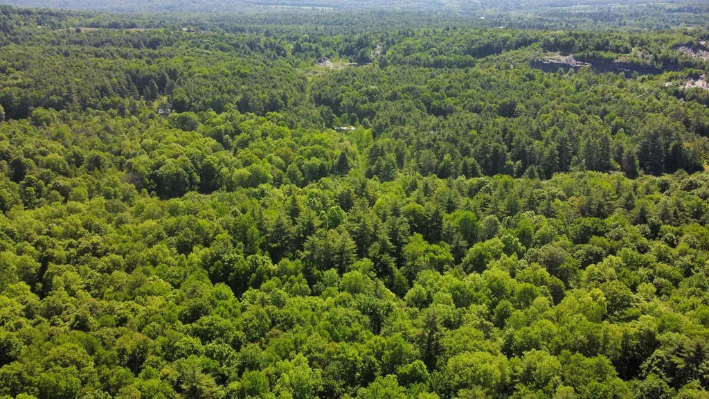 00 Bull Frog Hollow Road Wells VT 05774