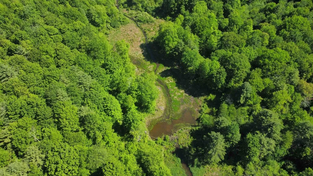 00 Bull Frog Hollow Road Wells VT 05774