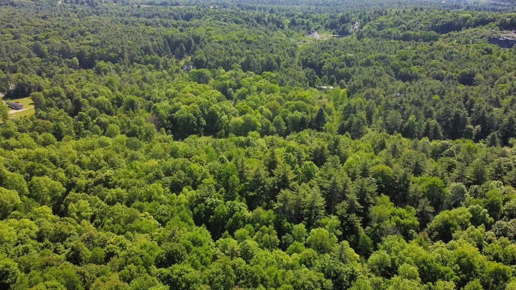 00 Bull Frog Hollow Road Wells VT 05774
