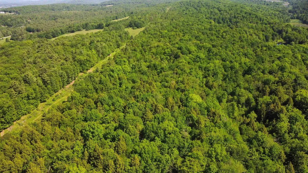 00 Bull Frog Hollow Road Wells VT 05774