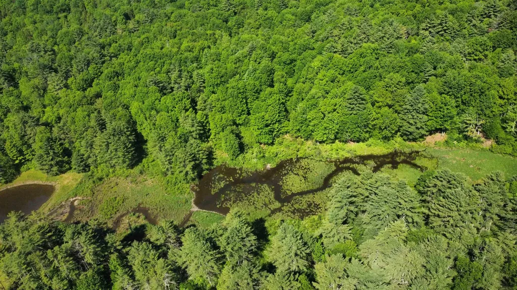 00 Bull Frog Hollow Road Wells VT 05774