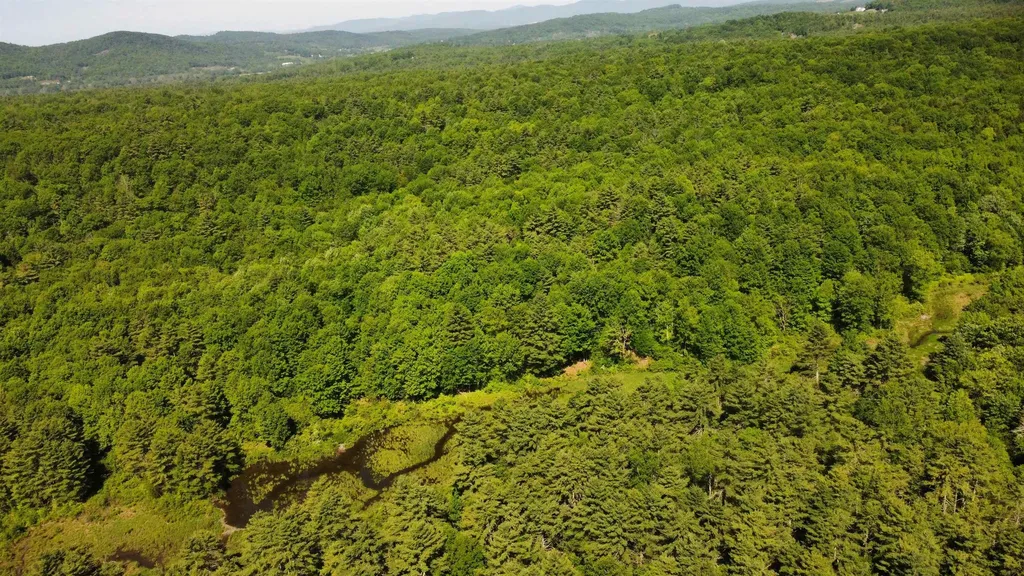 00 Bull Frog Hollow Road Wells VT 05774