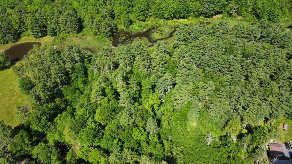 00 Bull Frog Hollow Road Wells VT 05774