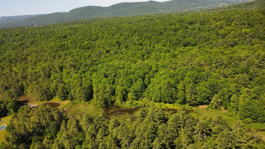 00 Bull Frog Hollow Road Wells VT 05774