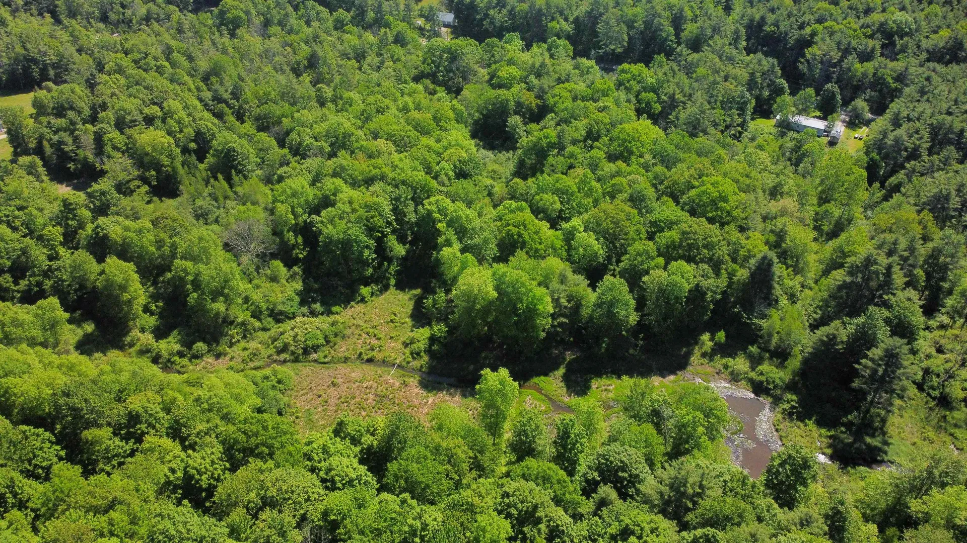 00 Bull Frog Hollow Road Wells VT 05774