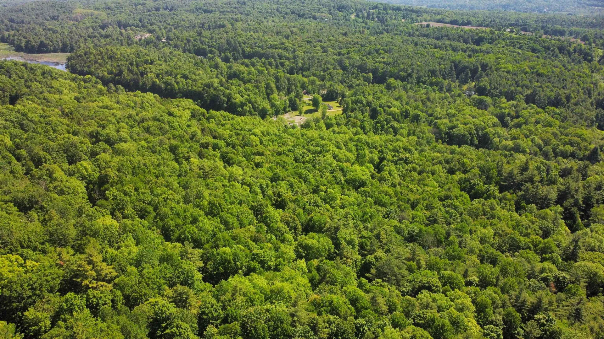 00 Bull Frog Hollow Road Wells VT 05774