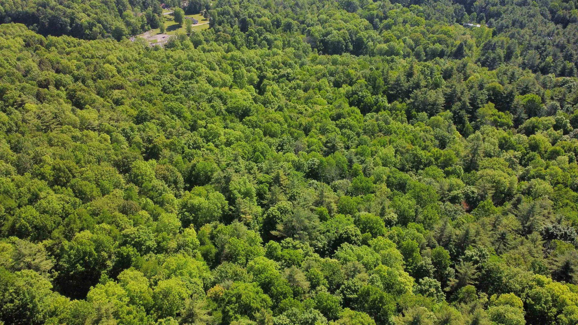 00 Bull Frog Hollow Road Wells VT 05774