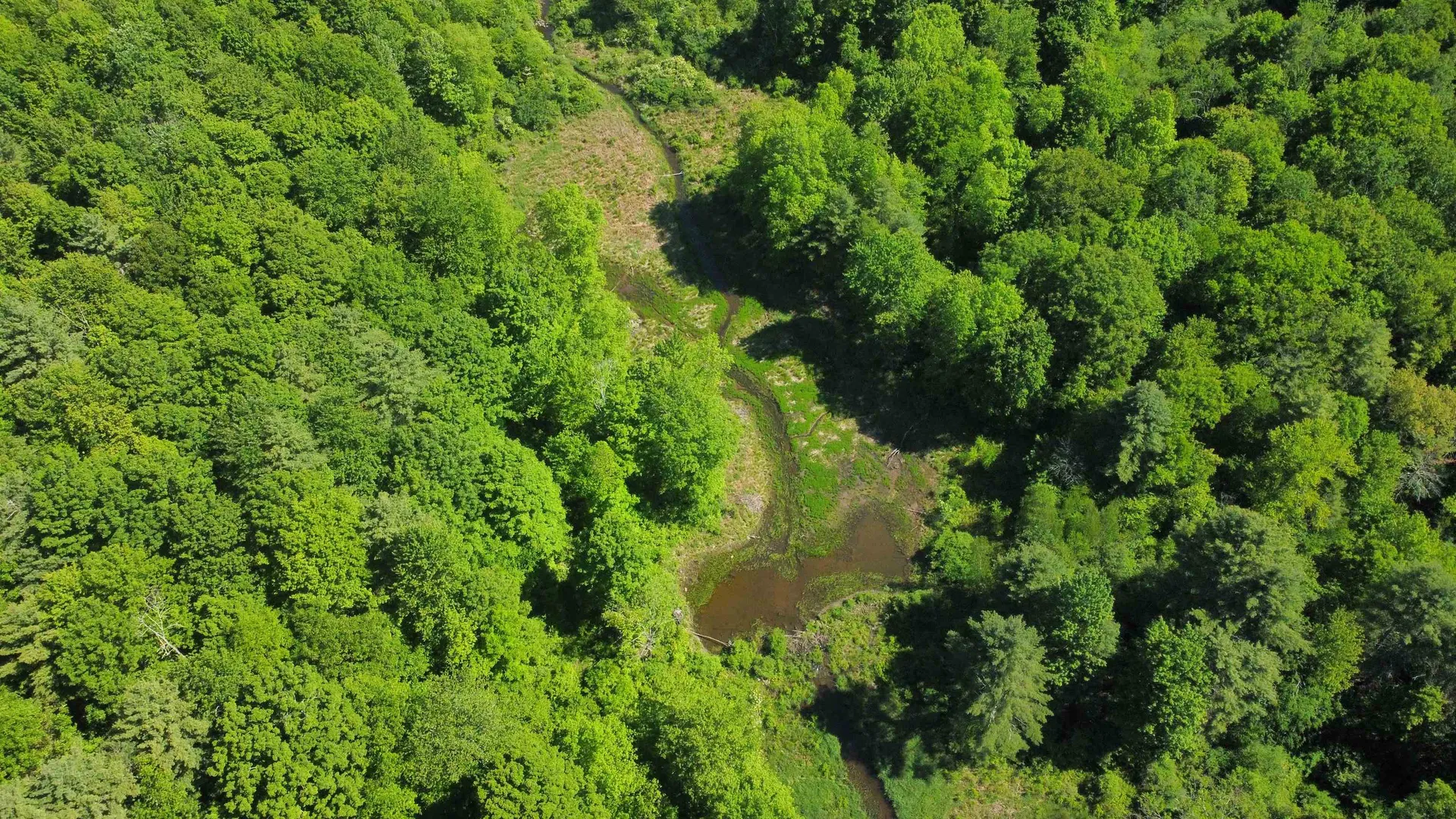 00 Bull Frog Hollow Road Wells VT 05774