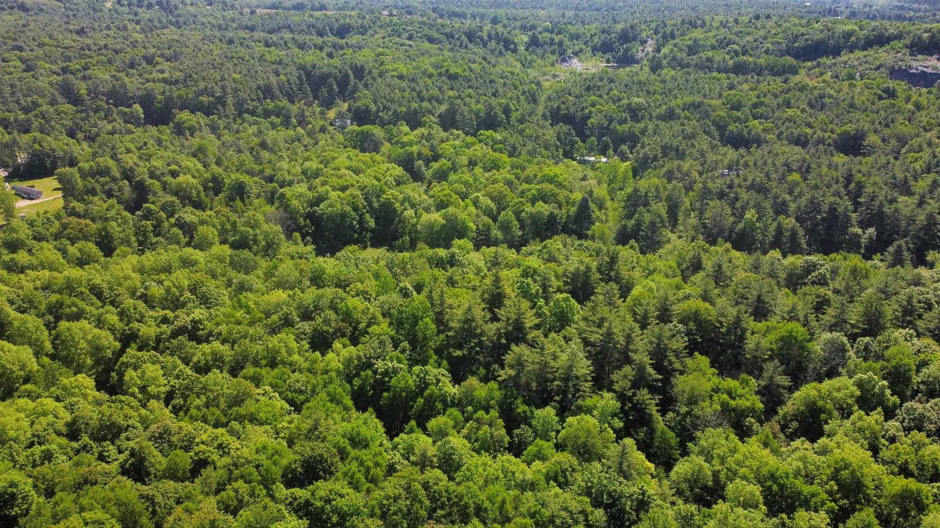 00 Bull Frog Hollow Road Wells VT 05774