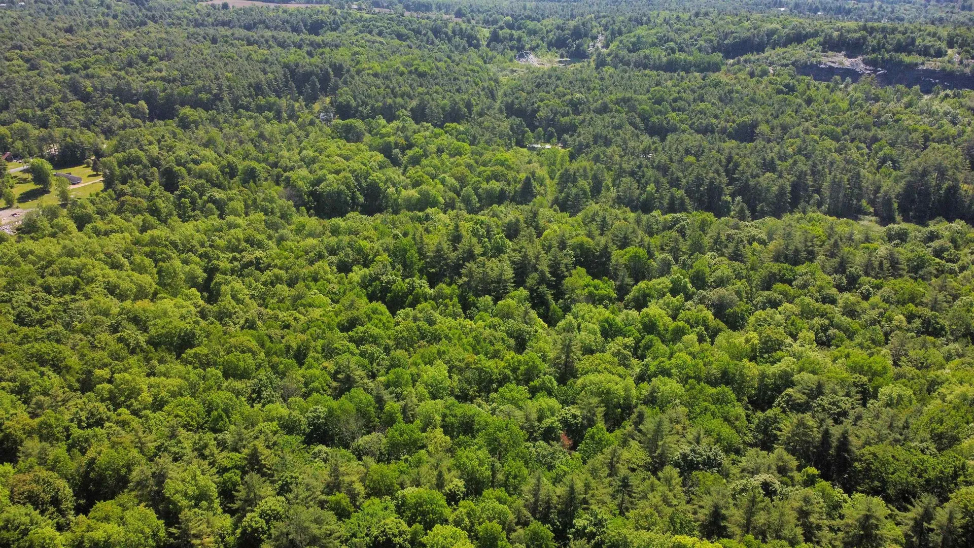 00 Bull Frog Hollow Road Wells VT 05774