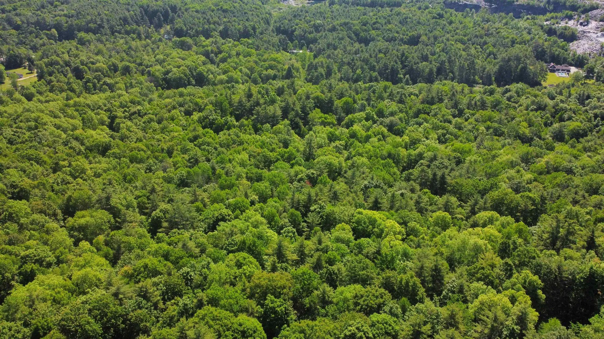 00 Bull Frog Hollow Road Wells VT 05774