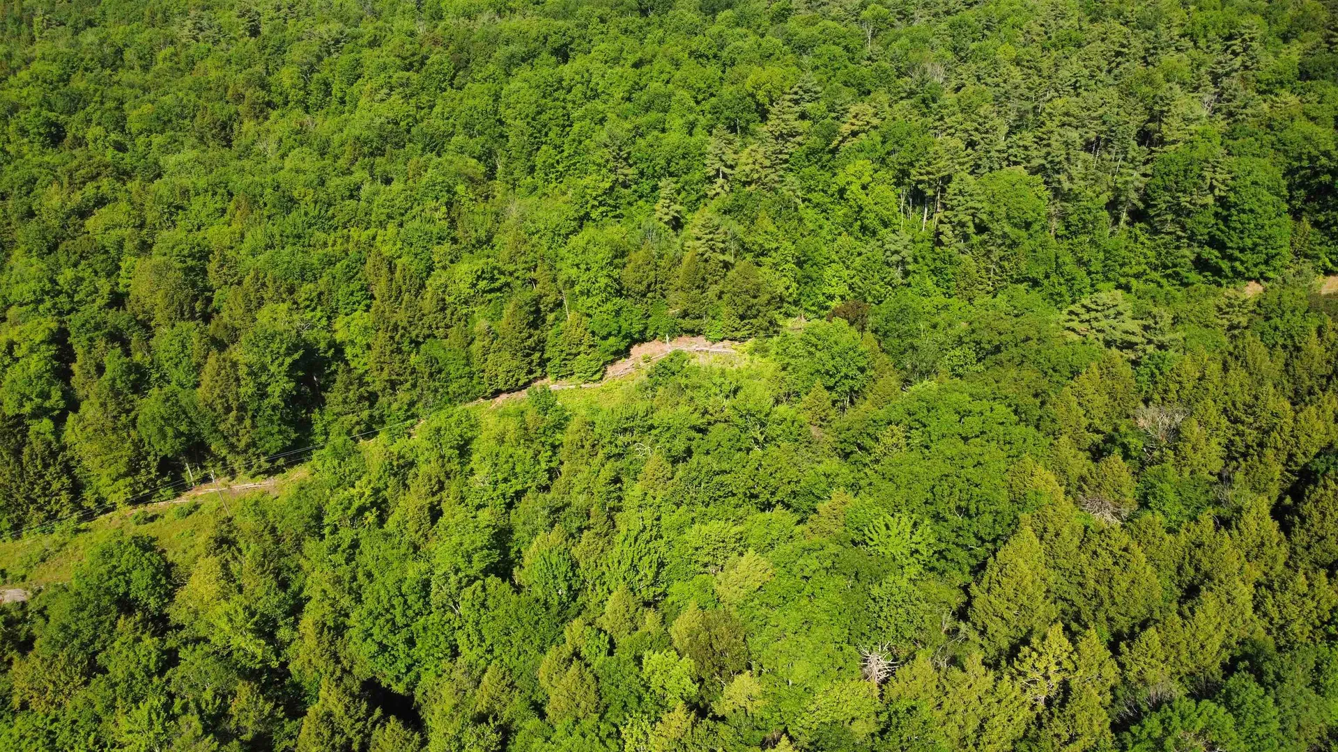 00 Bull Frog Hollow Road Wells VT 05774