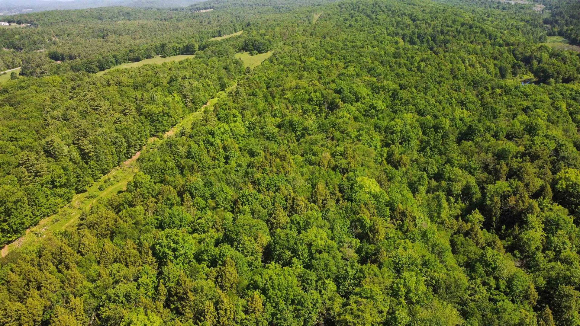 00 Bull Frog Hollow Road Wells VT 05774