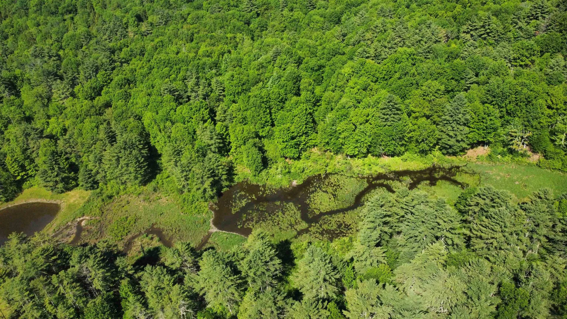 00 Bull Frog Hollow Road Wells VT 05774