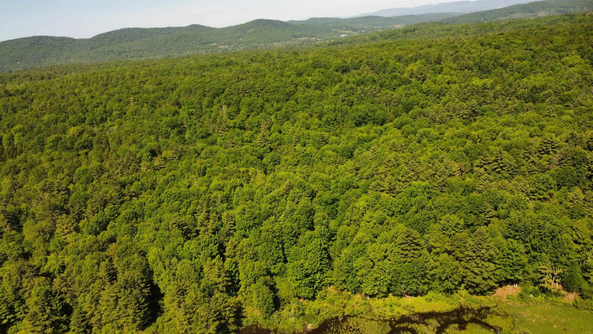 00 Bull Frog Hollow Road Wells VT 05774