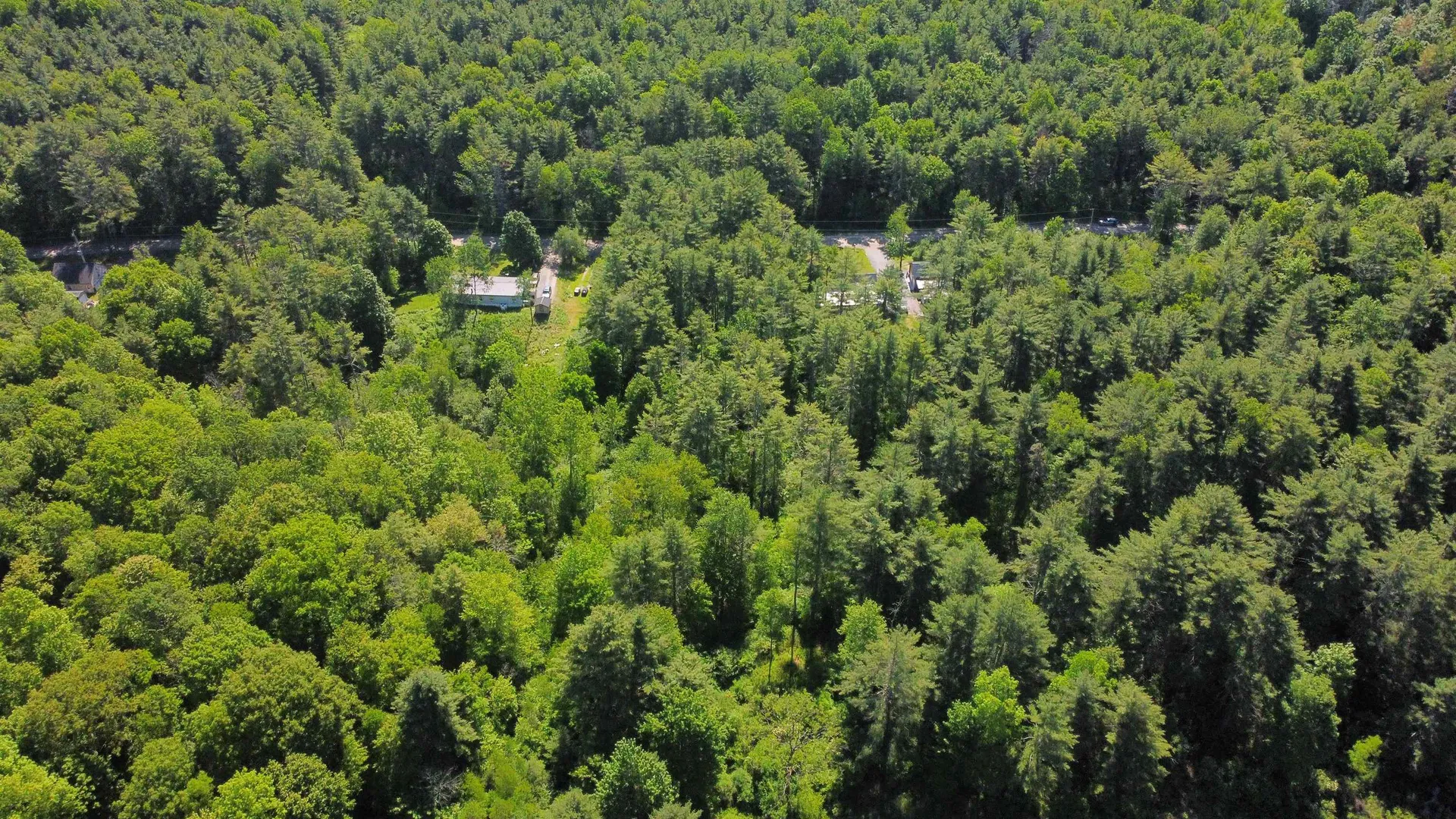 00 Bull Frog Hollow Road Wells VT 05774