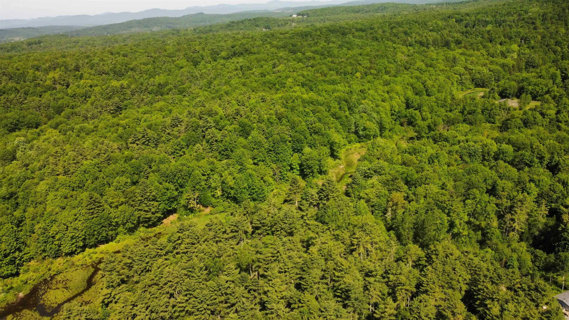 00 Bull Frog Hollow Road Wells VT 05774