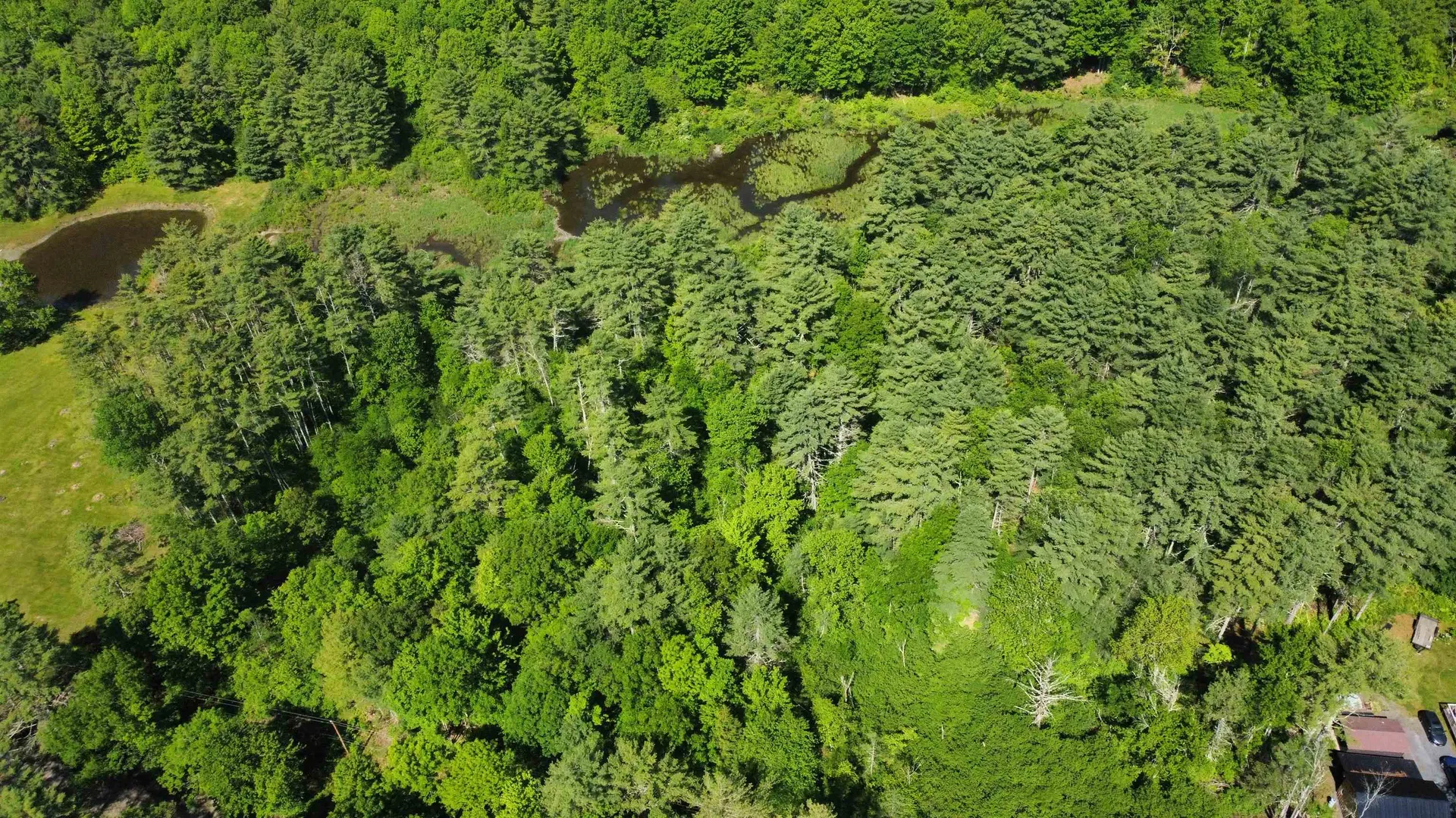 00 Bull Frog Hollow Road Wells VT 05774