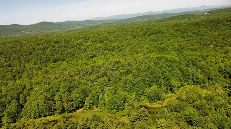 00 Bull Frog Hollow Road Wells VT 05774