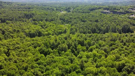 00 Bull Frog Hollow Road Wells VT 05774
