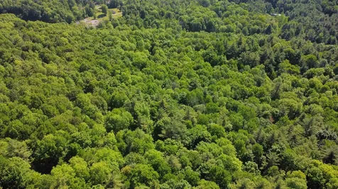 00 Bull Frog Hollow Road Wells VT 05774