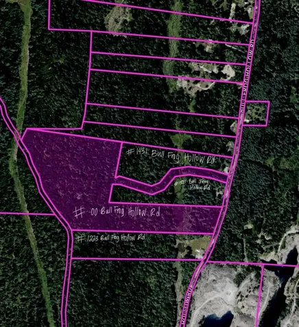 00 Bull Frog Hollow Road Wells VT 05774
