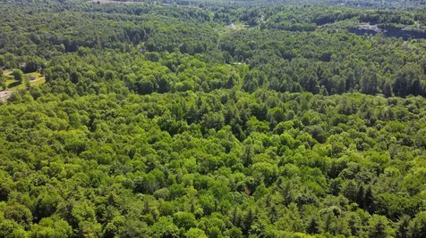 00 Bull Frog Hollow Road Wells VT 05774