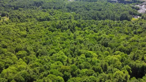 00 Bull Frog Hollow Road Wells VT 05774