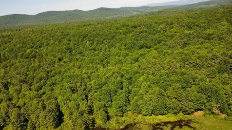 00 Bull Frog Hollow Road Wells VT 05774