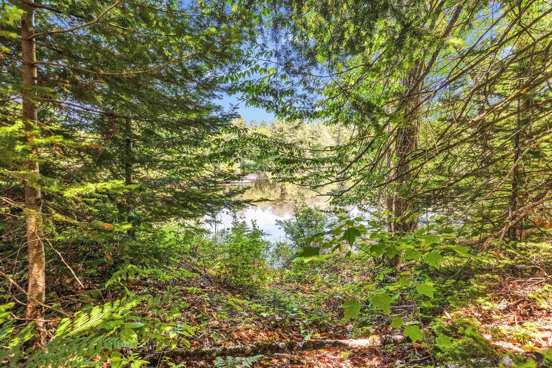 43 Brook Drive Stoddard NH 03464
