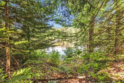 43 Brook Drive Stoddard NH 03464