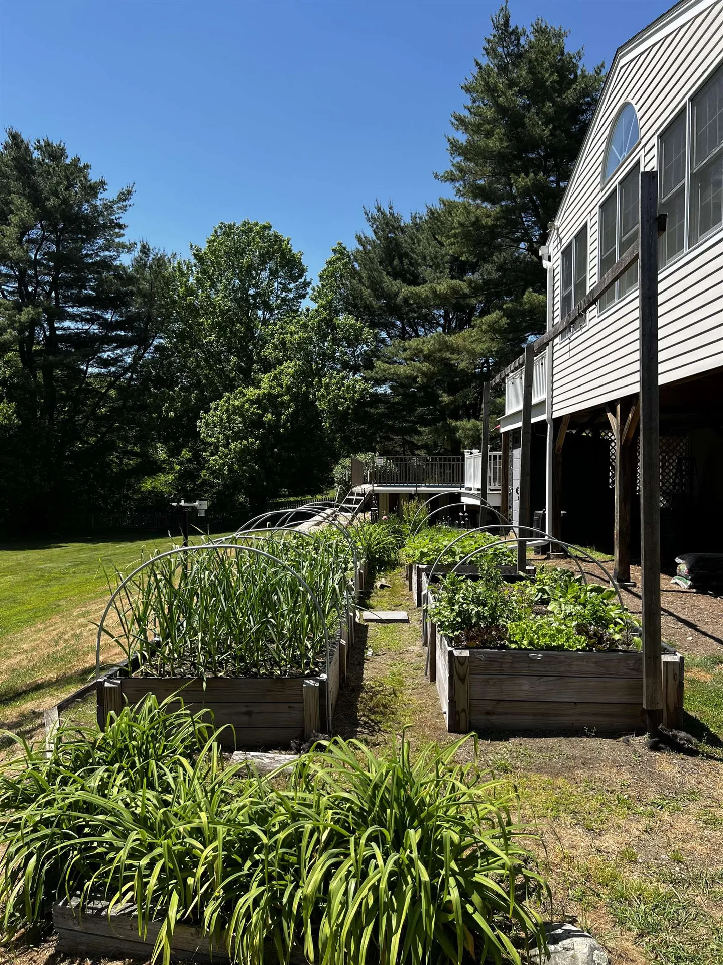 31 Normandy Drive Sudbury MA 01776